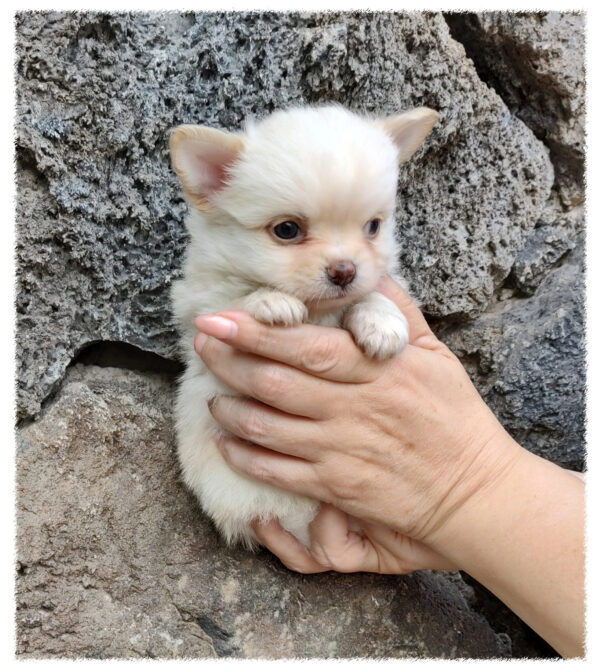 Sebastián