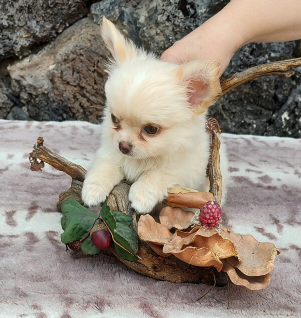 Sebastián